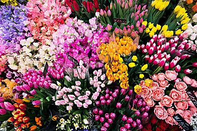 国产热门单机《传奇生物2》今日Steam发售 首周9折优惠